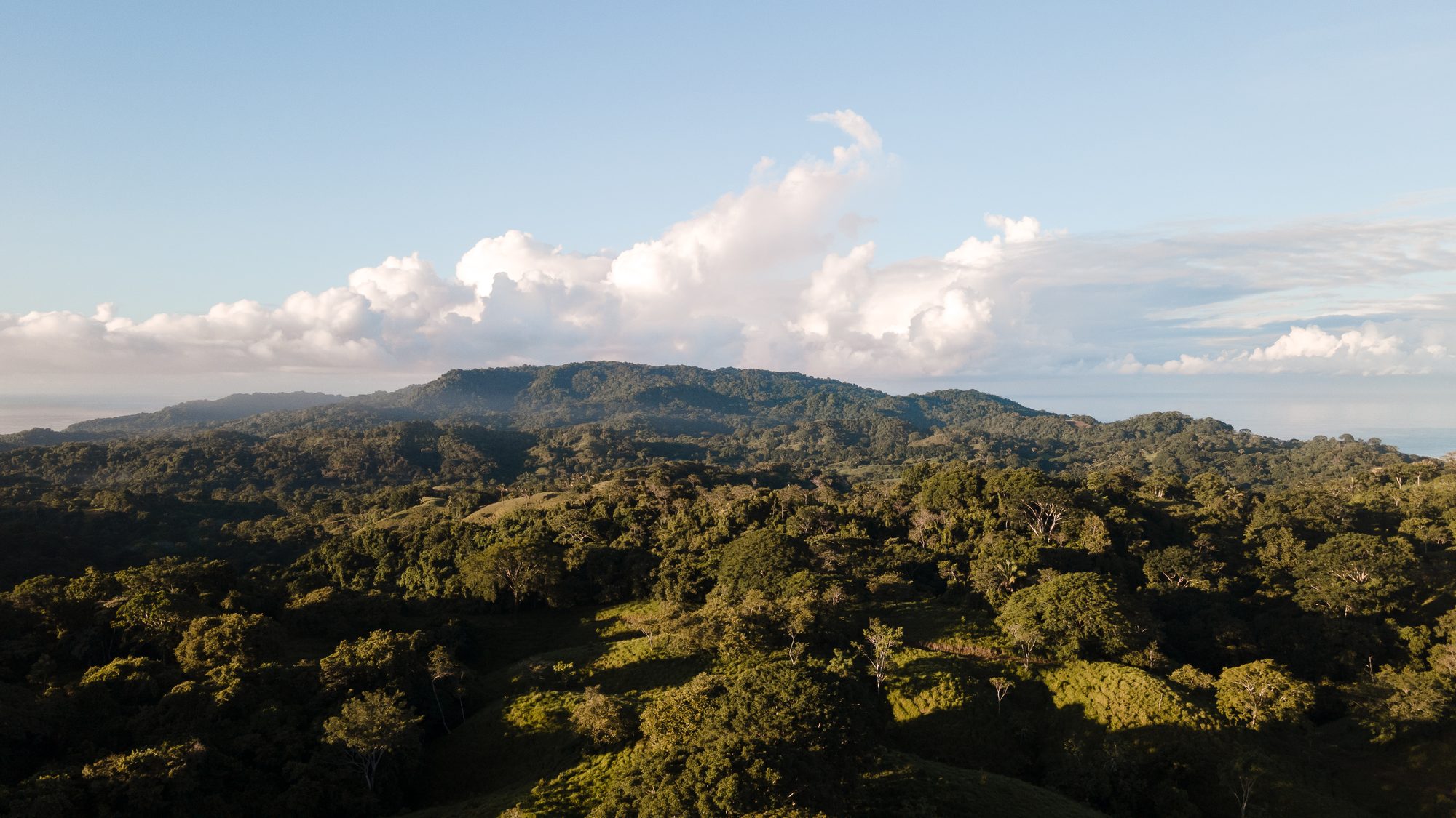 Forested hills meeting the sea near the Cabo Blanco reserve
