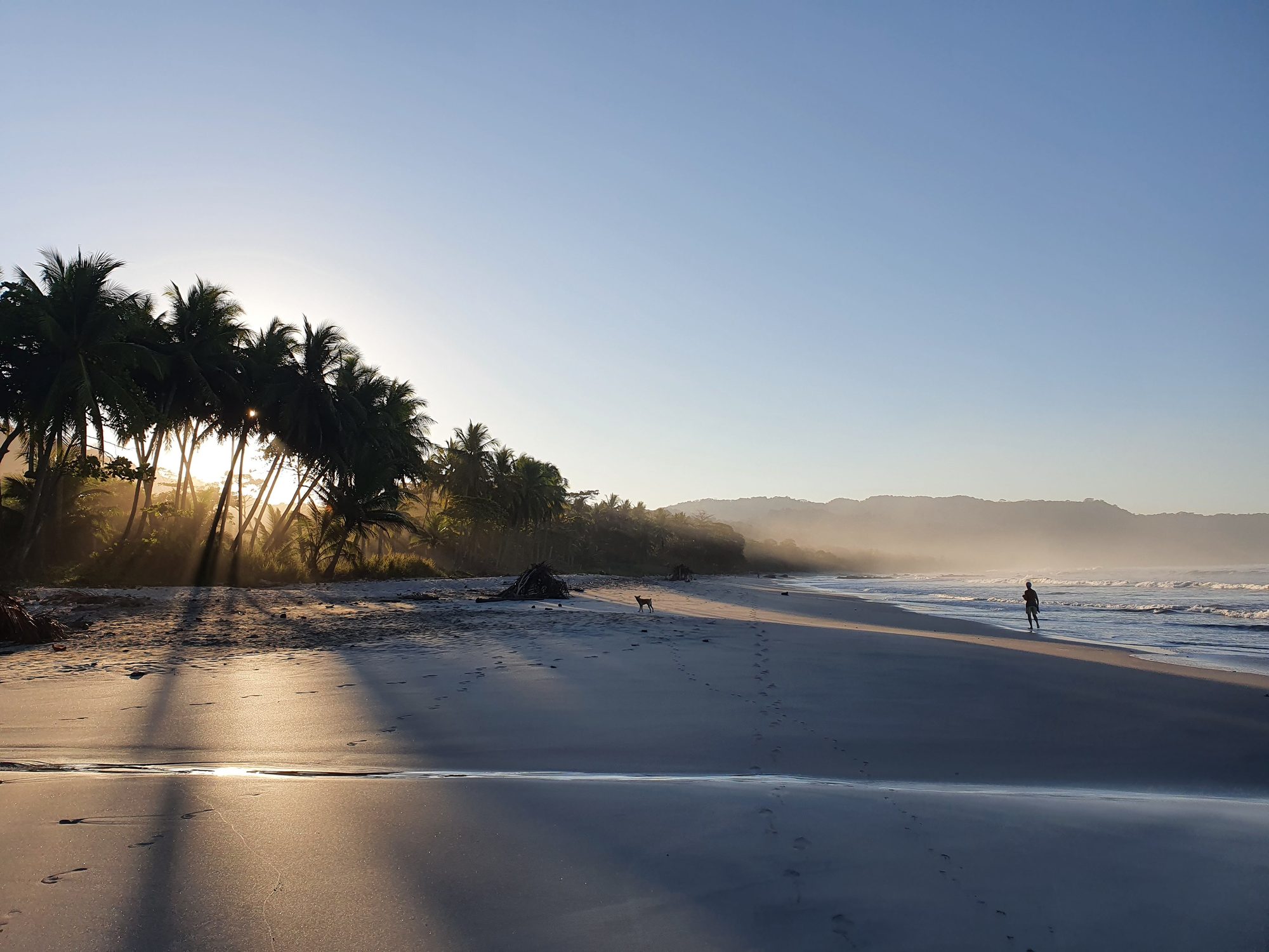 Playa Santa Teresa at golden hour, palms along the sand